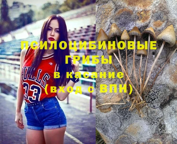 соль курить ск Горно-Алтайск