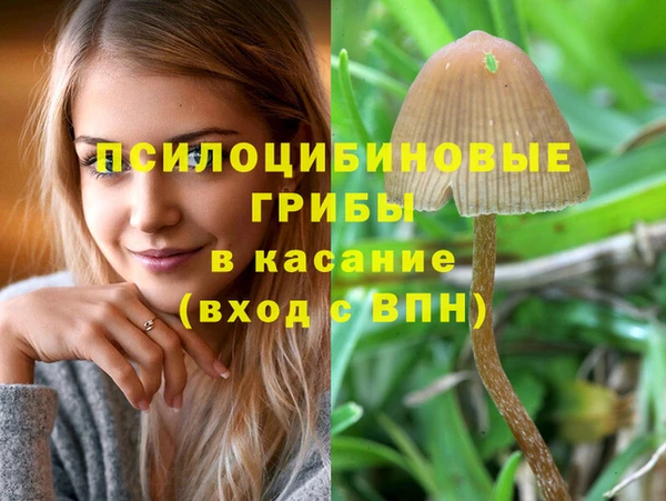 кокаин Горнозаводск