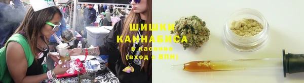 амф Горняк