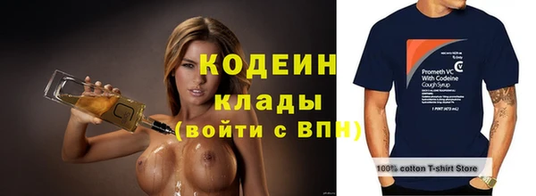 амф Горняк