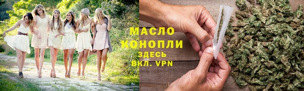 амф Горняк