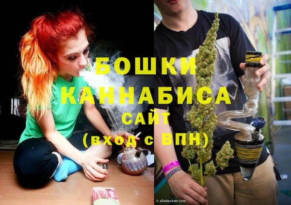 амф Горняк