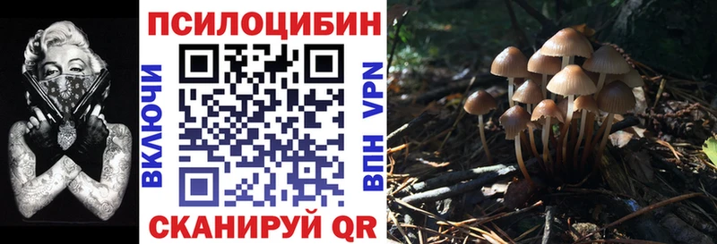 hydra ССЫЛКА Стерлитамак Галлюциногенные грибы ЛСД