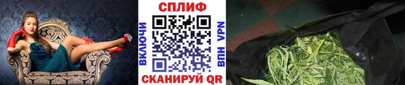 наркота  Стерлитамак  Бошки марихуана ГИДРОПОН 